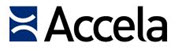 Professional services success with Accela